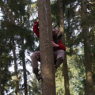 Nissen Baloo klatre op ad træstamme